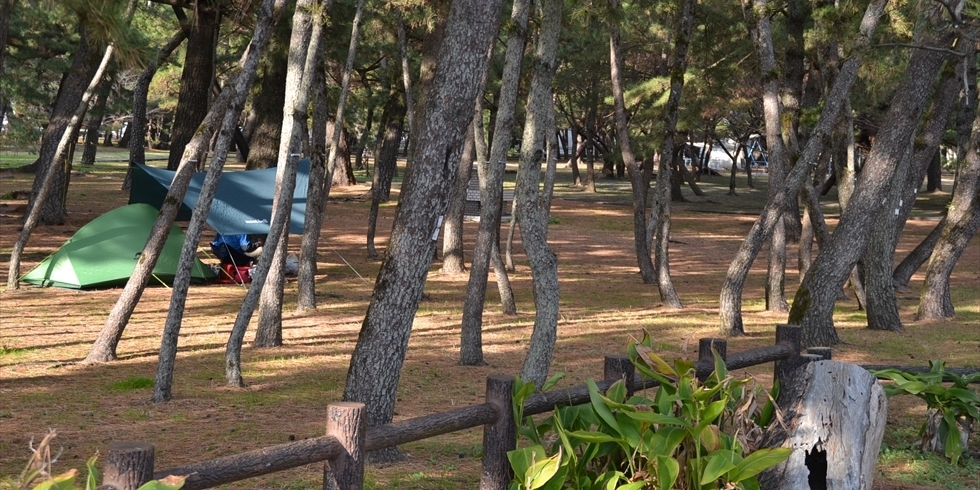 桂浜 種崎千松公園でキャンプ