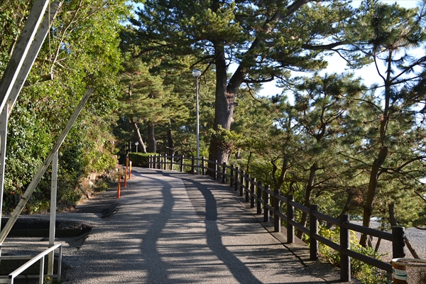 桂浜の観光ツァーの徒歩ルートを検証（８）