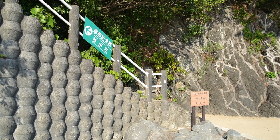 桂浜の野路菊の小径（起点）