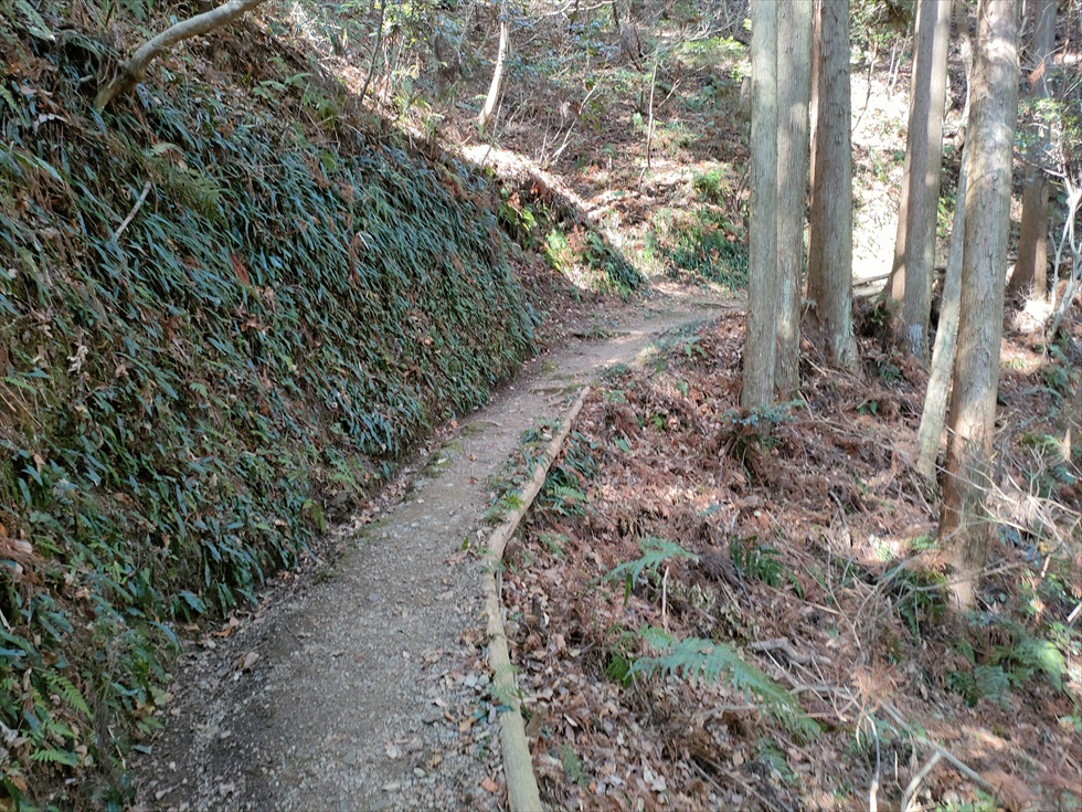 七ツ渕神社へのトレッキング（登山道８）